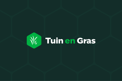 De juiste bestrating kiezen in 5 stappen