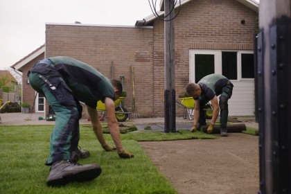 Graszoden laten leggen